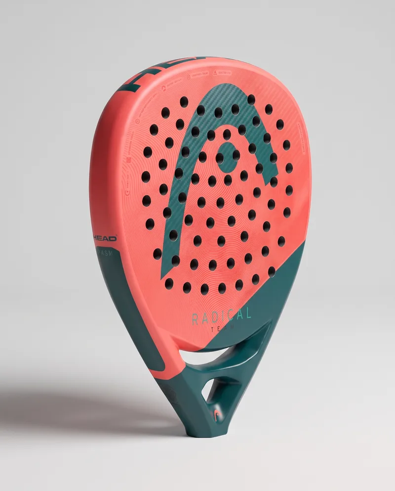 Head Radical Team 2026, AI vizualizacija