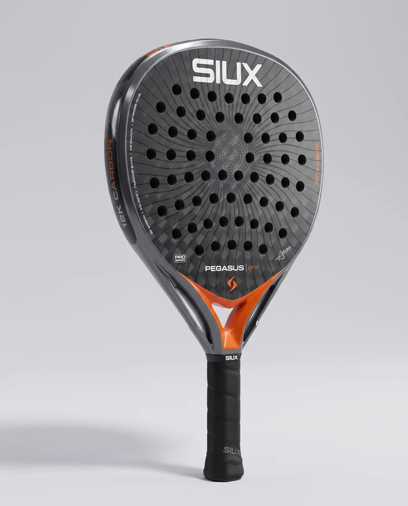 Siux Pegasus Pro 2026, AI vizualizacija